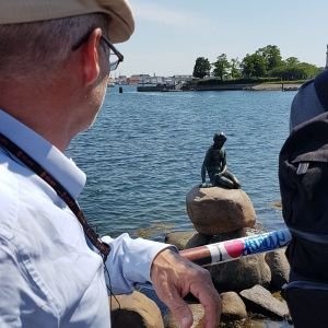 Zeemeermin afstand
